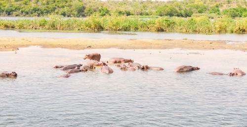 Sambiya River Lodge