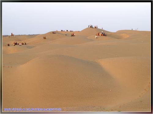 Hotel Payal Safari Camp