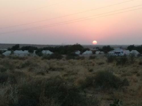 Hotel Payal Safari Camp