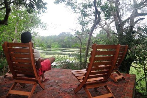 Lodge The Backwaters