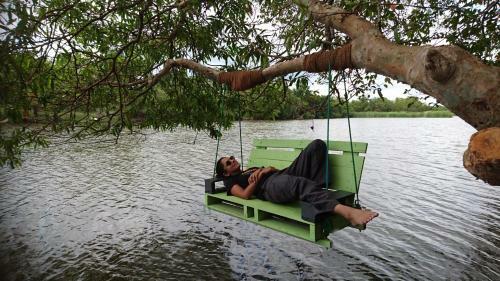 Lodge The Backwaters
