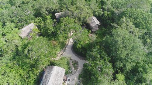 Lodge The Backwaters