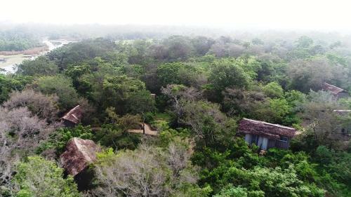 Lodge The Backwaters