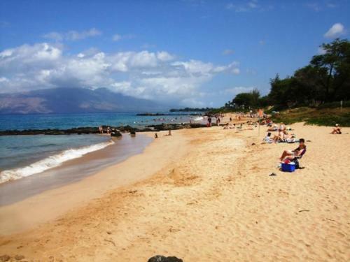 Haleakala Shores #a211