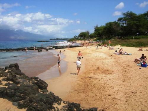 Haleakala Shores #a211