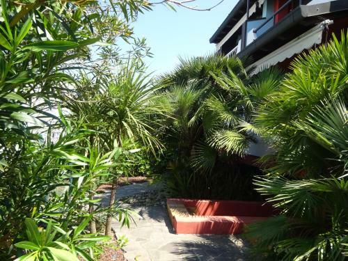 Villa Aprilia With Thermal Spa Pool