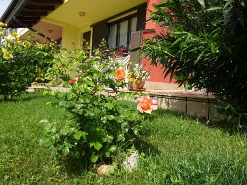 Villa Aprilia With Thermal Spa Pool