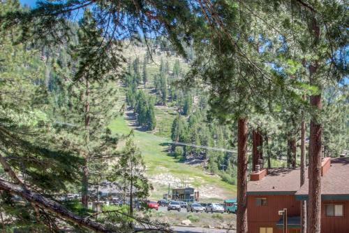 Saddle Road Condo