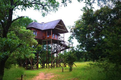 Pezulu Tree House Lodge