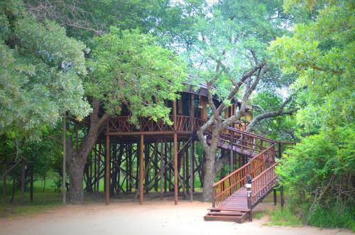 Pezulu Tree House Lodge