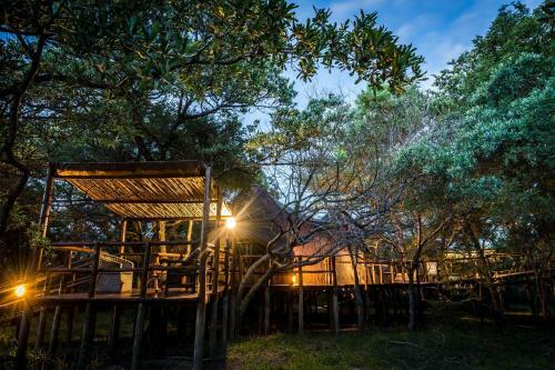 Pezulu Tree House Lodge