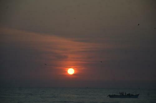 Hotel Omkar Beach Bungalow