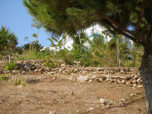 Apartamento Studio Thorikosite