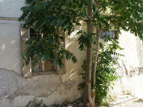 Apartamento Studio Thorikosite