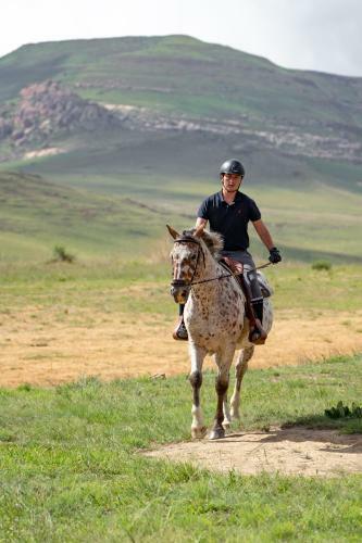 Wild Horses Lodge