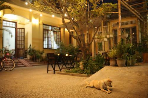 Hotel Le Robinet Homestay