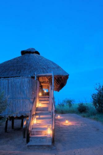 Rhino Safari Camp