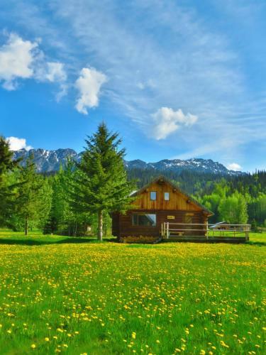 Hotel Rocky Ridge Resort-bc