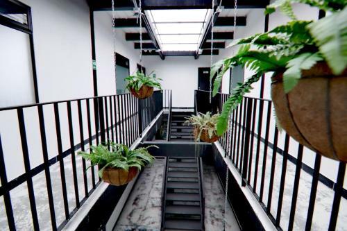 Hotel Casa Malib�