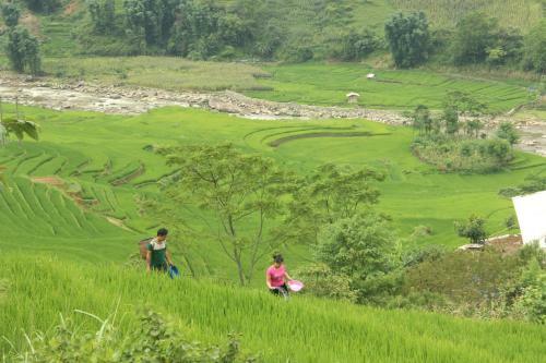 Hmong House - Sapa Homestay