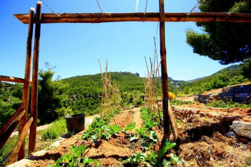Agroturismo Posada Del Candil