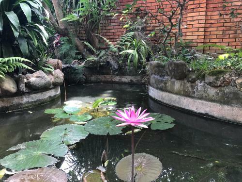 Hotel Spring Garden Villa