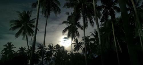 Hotel Asian Secret Resort