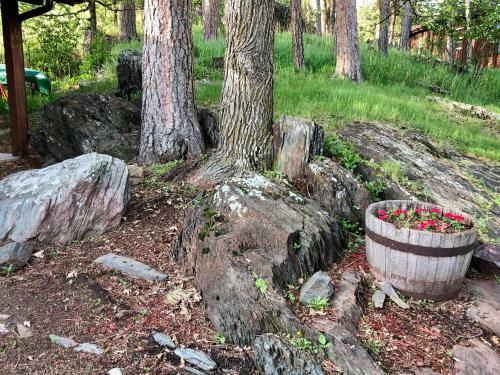 Rockerville Lodge & Cabins