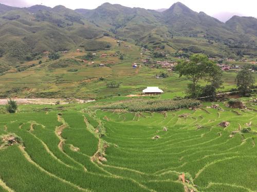 Hoa's Homestay Sapa