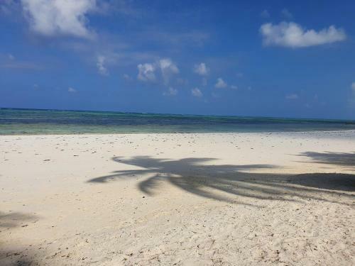 Bed & Breakfast Blue Palm Zanzibar
