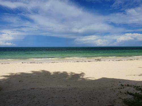 Bed & Breakfast Blue Palm Zanzibar