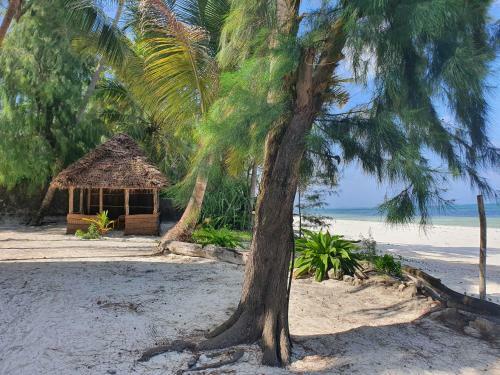 Bed & Breakfast Blue Palm Zanzibar