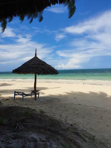 Bed & Breakfast Blue Palm Zanzibar