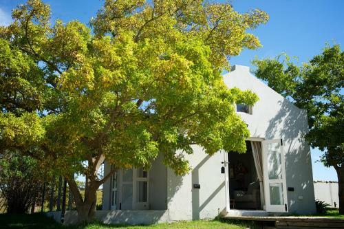 Hostal South Hill Guesthouse