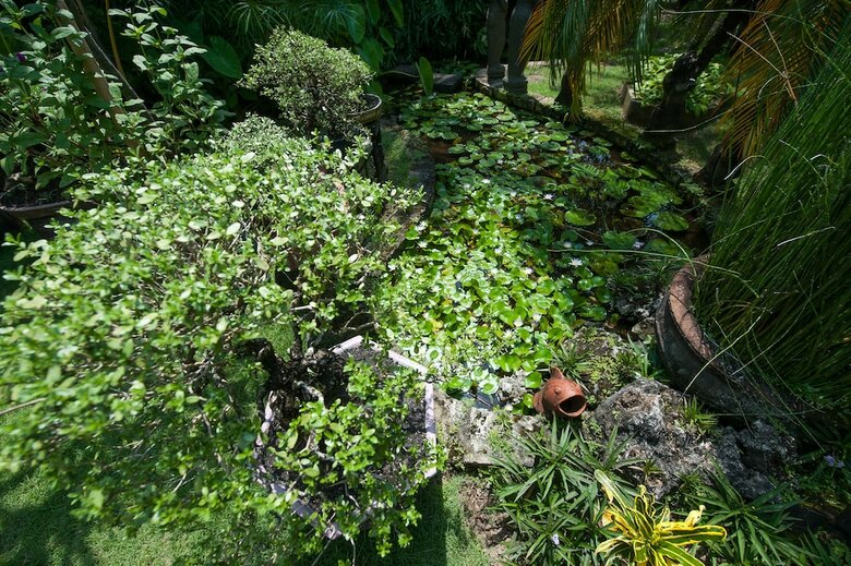 Pondok Agung Bed & Breakfast