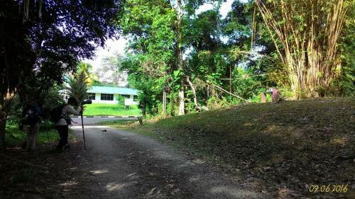 Sepilok B&B