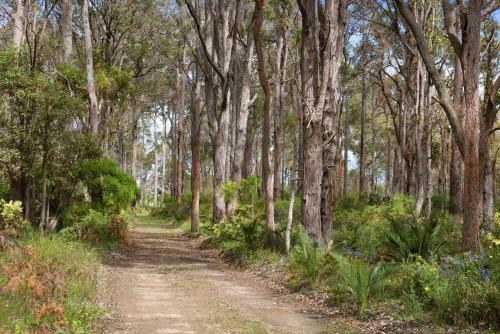Agroturismo Redgate Forest Retreat
