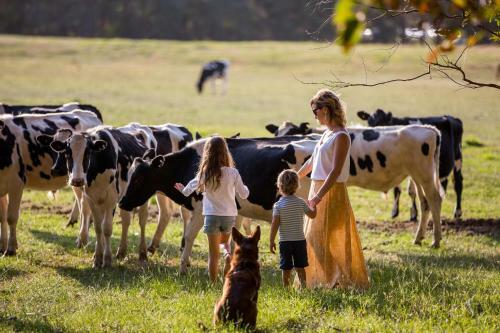 Agroturismo Redgate Forest Retreat