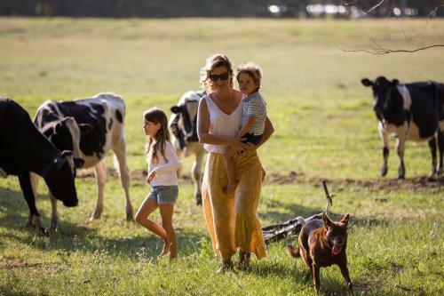 Agroturismo Redgate Forest Retreat