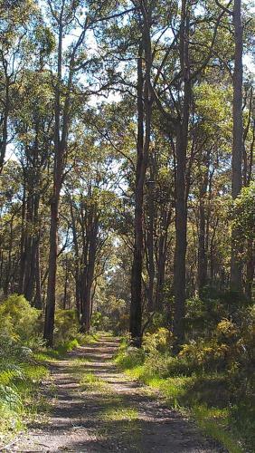 Agroturismo Redgate Forest Retreat