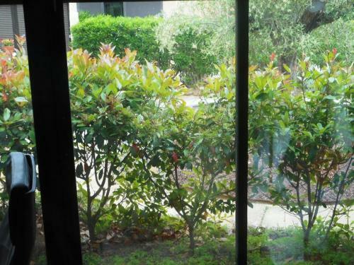 Apartamento Village Naturiste Cap D'agde Luvitere