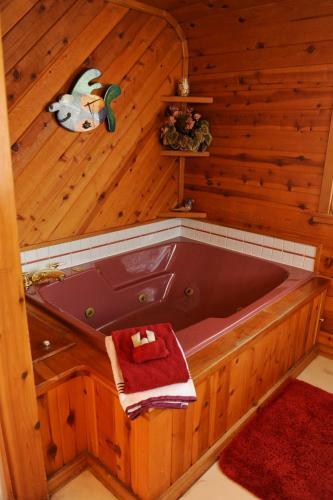 Hotel Clear Lake Resort