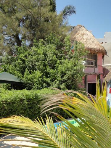 Hotel Acamaya Reef Caba�as
