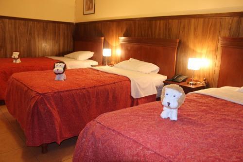 Hotel El Tumi 2