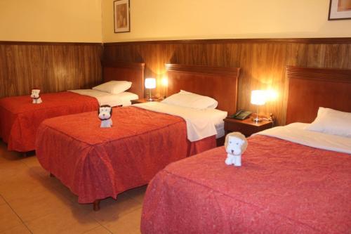 Hotel El Tumi 2