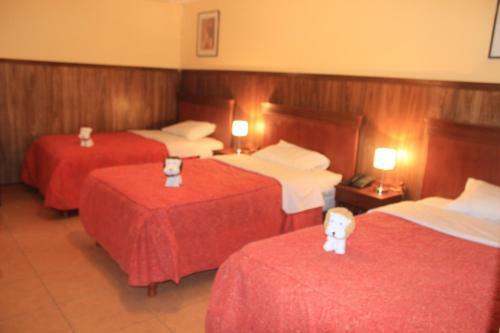 Hotel El Tumi 2
