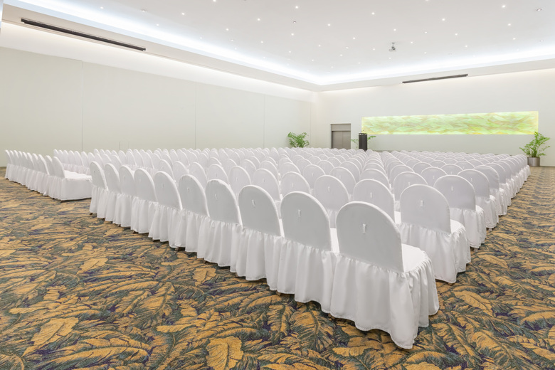 Hotel Wyndham Garden Colima