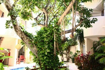 Hotel Posada 06 Tulum