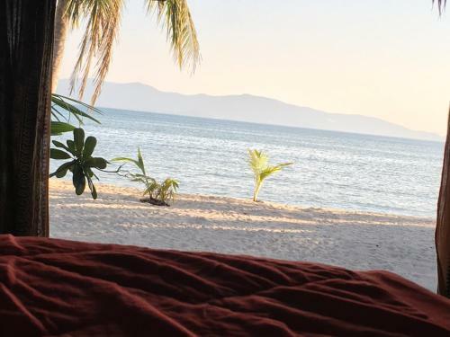 Hostal Papillon Bungalows