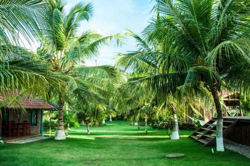 Lodge Maui Do Brasil